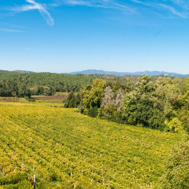 Condi&ccedil;&otilde;es de Reserva