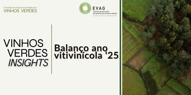 Vinhos Verdes Insights: Balan&ccedil;o Ano Vitivin&iacute;cola '25