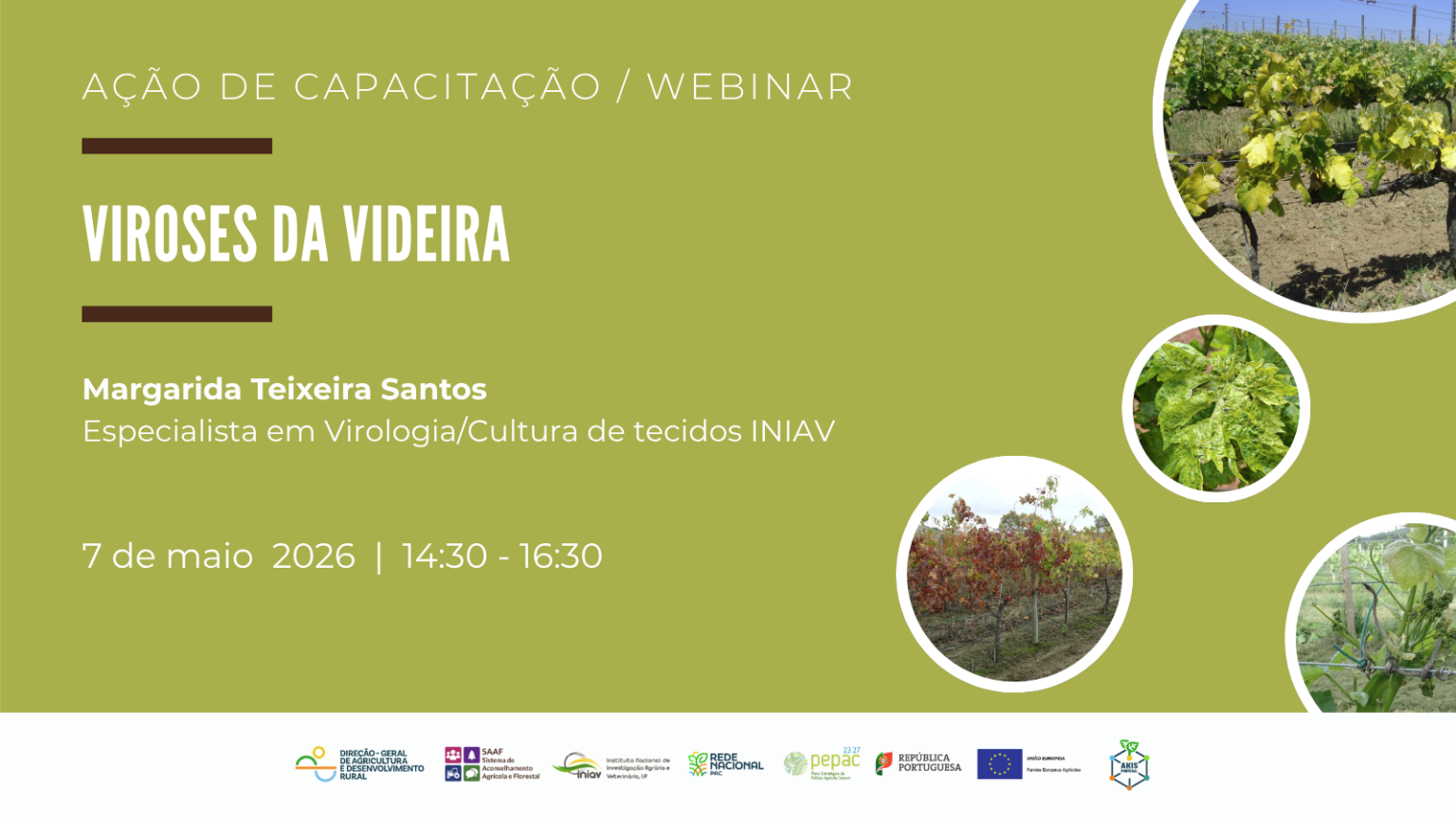 Webinar sobre Viroses da Videira a 7 de Maio